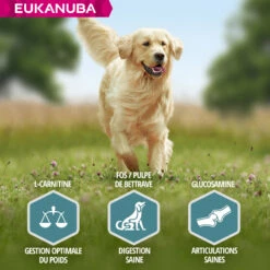 Eukanuba Adult Maintenance Large Breed 8 Eukanuba Adult Maintenance Large Breed -EUKANUBA Winkel lm 102ec8956637a99787bd197eacd77acce5e1604654332