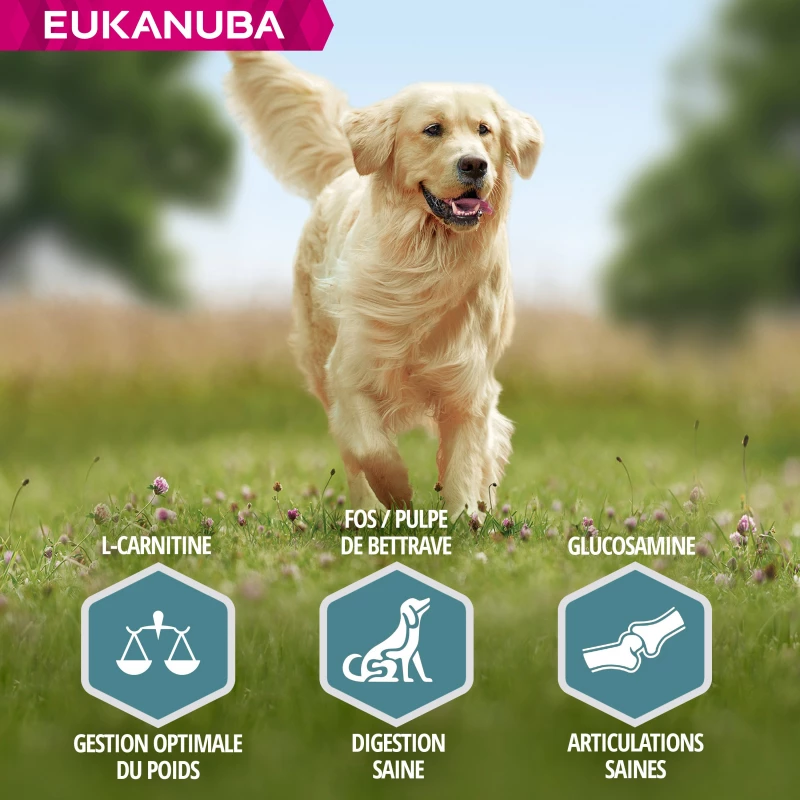 Eukanuba Adult Maintenance Large Breed 4 Eukanuba Adult Maintenance Large Breed - Afbeelding 4