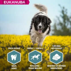 Eukanuba Adult Maintenance Large Breed 9 Eukanuba Adult Maintenance Large Breed -EUKANUBA Winkel lm 102ec8956637a99787bd197eacd77acce5e1604654352
