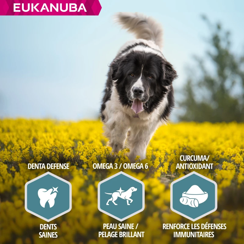 Eukanuba Adult Maintenance Large Breed 5 Eukanuba Adult Maintenance Large Breed - Afbeelding 5