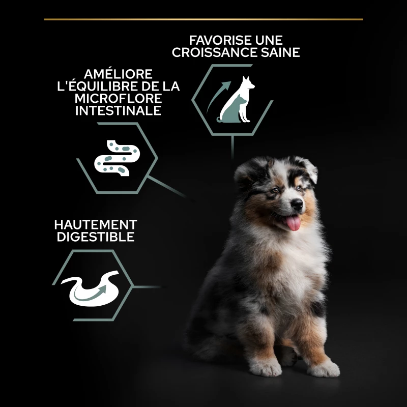 PRO PLAN Medium & Large Adult OptiDigest Puppy, Met Kalkoen 6 PRO PLAN Medium & Large Adult OptiDigest Puppy, Met Kalkoen - Afbeelding 6