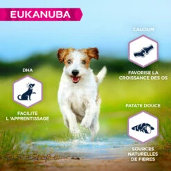 EUKANUBA Grain Free Puppy S/M -EUKANUBA Winkel lm 107a97da629b098b75c294dffdc3e4639041635503550