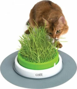 Grass Planter Cat It Senses 2.0