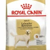 Royal Canin Breed Labrador Retriever Adult