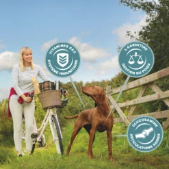 Eukanuba Active Adult Large Breed -EUKANUBA Winkel lm 116512bd43d9caa6e02c990b0a82652dca1641822302