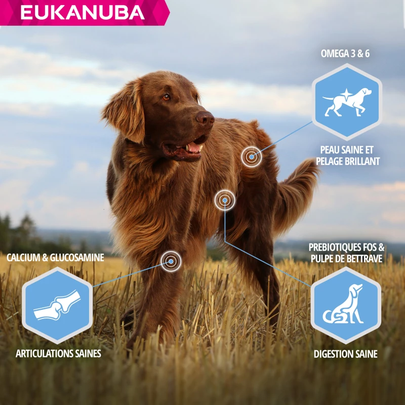Eukanuba Daily Care Adult Weight Control Voor Grote Honden Met Overgewicht 3 Eukanuba Daily Care Adult Weight Control Voor Grote Honden Met Overgewicht - Afbeelding 3