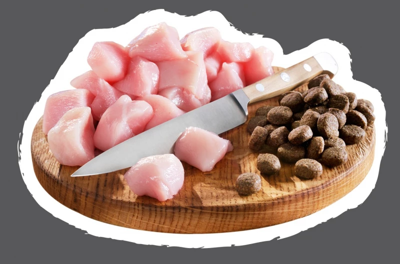 Belcando Finest Croc Adult XS - M - Met Eend 2 Belcando Finest Croc Adult XS - M - Met Eend - Afbeelding 2