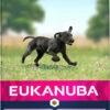 Eukanuba Growing Puppy Large Breed
