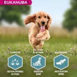 Eukanuba Dog Adult Small & Medium, Zalm & Gerst -EUKANUBA Winkel lm 1552a79ea27c279e471f4d180b08d62b00a1608306000