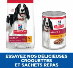 HILL'S Science Plan Adult Medium - Met Kip -EUKANUBA Winkel lm 1770efdf2ec9b086079795c442636b55fb1643273263