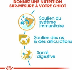 Royal Canin Breed Teckel Junior -EUKANUBA Winkel lm 181fc221309746013ac554571fbd180e1c81598437219