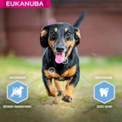 Eukanuba Daily Care Weight Control Small/Medium Adult -EUKANUBA Winkel lm 185eecca5b6365d9607ee5a9d336962c5341641824931