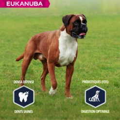 Eukanuba Breed Specific Boxer -EUKANUBA Winkel lm 2003644a684f98ea8fe223c713b77189a771641828131