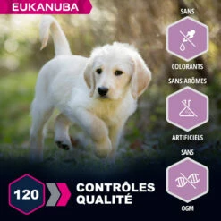 Eukanuba Puppy Lam & Rijst 7 Eukanuba Puppy Lam & Rijst -EUKANUBA Winkel lm 203e2c0be24560d78c5e599c2a9c9d0bbd21604655694