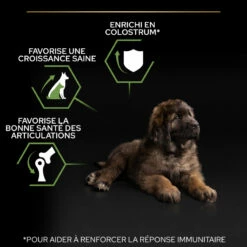PRO PLAN Large Robust Puppy Met Kip -EUKANUBA Winkel lm 203e2c0be24560d78c5e599c2a9c9d0bbd21687267006