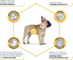 Advance Mini Sensitive Met Zalm -EUKANUBA Winkel lm 221060ad92489947d410d897474079c14771568041471