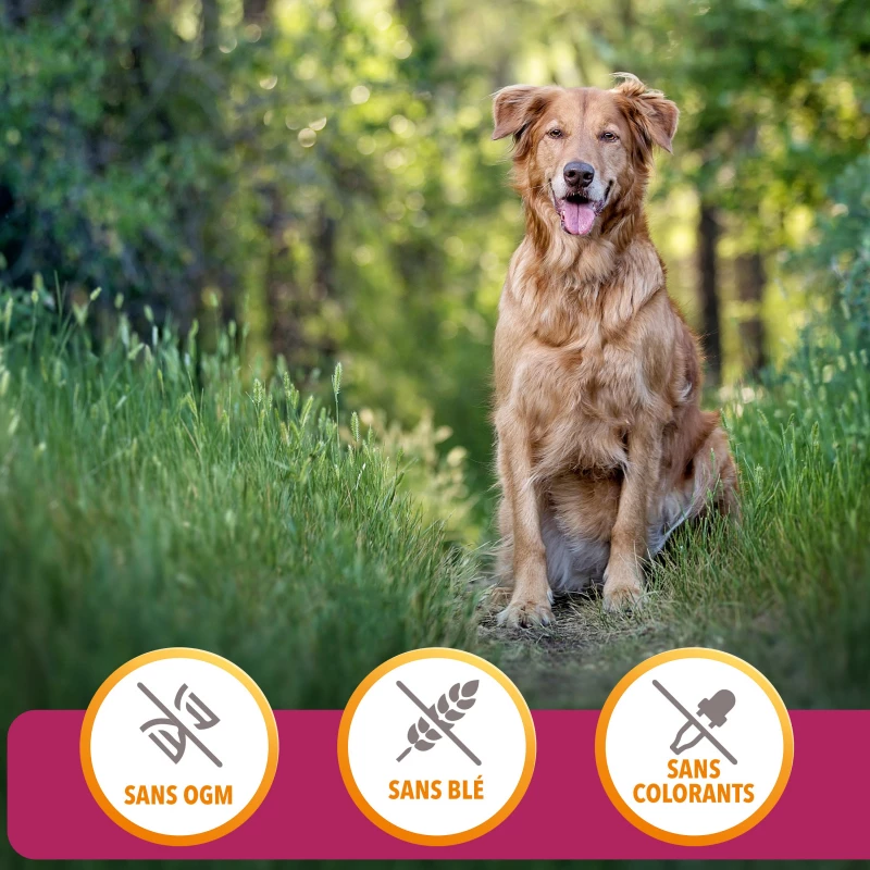 Iams Vitality Dog Senior, Met Kip 7 Iams Vitality Dog Senior, Met Kip - Afbeelding 7