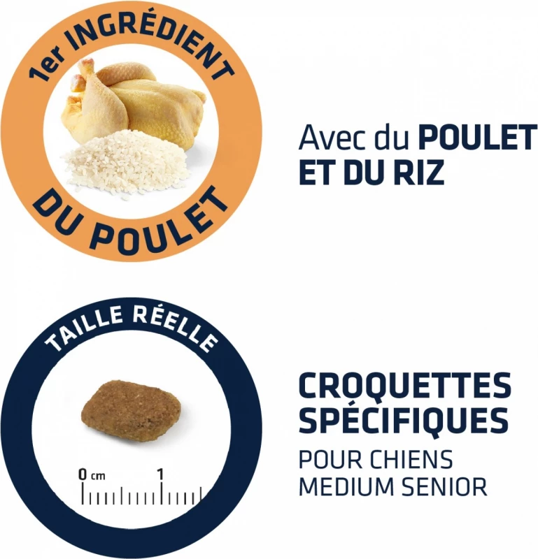 Advance Medium 7+ Met Kip 3 Advance Medium 7+ Met Kip - Afbeelding 3