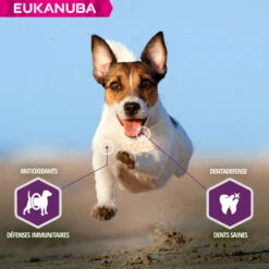 Eukanuba Daily Care Sensitive Skin -EUKANUBA Winkel lm 22b6d767d2f8ed5d21a44b0e5886680cb91641824080