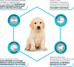 AFFINITY ADVANCE PUPPY MAXI Baby Protect, Met Kip -EUKANUBA Winkel lm 2306da9003b743b65f4c0ccd295cc484e571568989495