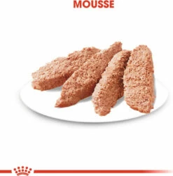 Royal Canin Digestive Care Mousse 8 Royal Canin Digestive Care Mousse -EUKANUBA Winkel lm 233e165421110ba03099a1c0393373c5b431592832878