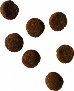 BIOFOOD Puppy 30/20 Met Kip -EUKANUBA Winkel lm 237539fd53b59e3bb12d203f45a912eeaf21651150336