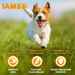 Iams Vitality Dog Small & Medium 10 Iams Vitality Dog Small & Medium -EUKANUBA Winkel lm 239555d6702c950ecb729a966504af0a6351604659696