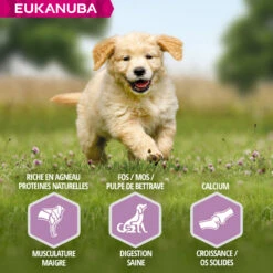 Eukanuba Puppy Lam & Rijst 8 Eukanuba Puppy Lam & Rijst -EUKANUBA Winkel lm 242e4a6222cdb5b34375400904f03d8e6a51604655716