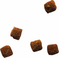 BIOFOOD MINI SENIOR 26/13, Met Gevogelte -EUKANUBA Winkel lm 242e4a6222cdb5b34375400904f03d8e6a51651849242