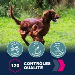 Eukanuba Active Adult Medium Breed -EUKANUBA Winkel lm 2734734ba6f3de83d861c3176a6273cac6d1641822126