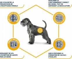 Advance Veterinary Diets Renal -EUKANUBA Winkel lm 281e3796ae838835da0b6f6ea37bcf8bcb71568989974