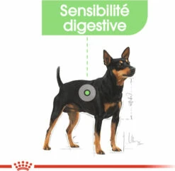 Royal Canin Digestive Care Mousse 7 Royal Canin Digestive Care Mousse -EUKANUBA Winkel lm 2850e01938fc48a2cfb5f2217fbfb00722d1592832874