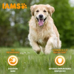 Iams Vitality Dog Senior, Met Kip 11 Iams Vitality Dog Senior, Met Kip -EUKANUBA Winkel lm 2850e01938fc48a2cfb5f2217fbfb00722d1604659954