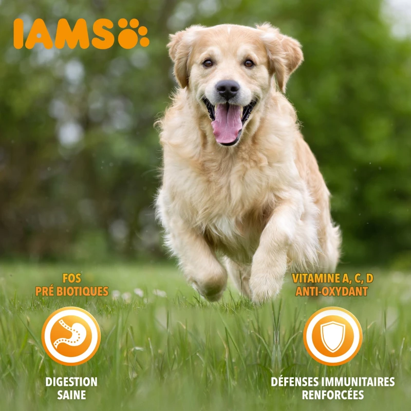 Iams Vitality Dog Senior, Met Kip 5 Iams Vitality Dog Senior, Met Kip - Afbeelding 5