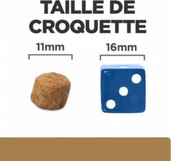 HILL'S Prescription Diet J/D Joint Care Voor Volwassen Honden -EUKANUBA Winkel lm 2921700002963a49da13542e0726b7bb7581646320384