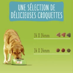 FRISKIES Dog Vitafit Light, Met Kip -EUKANUBA Winkel lm 2946883966fd8f918a4aa29be29d2c386fb1666343671