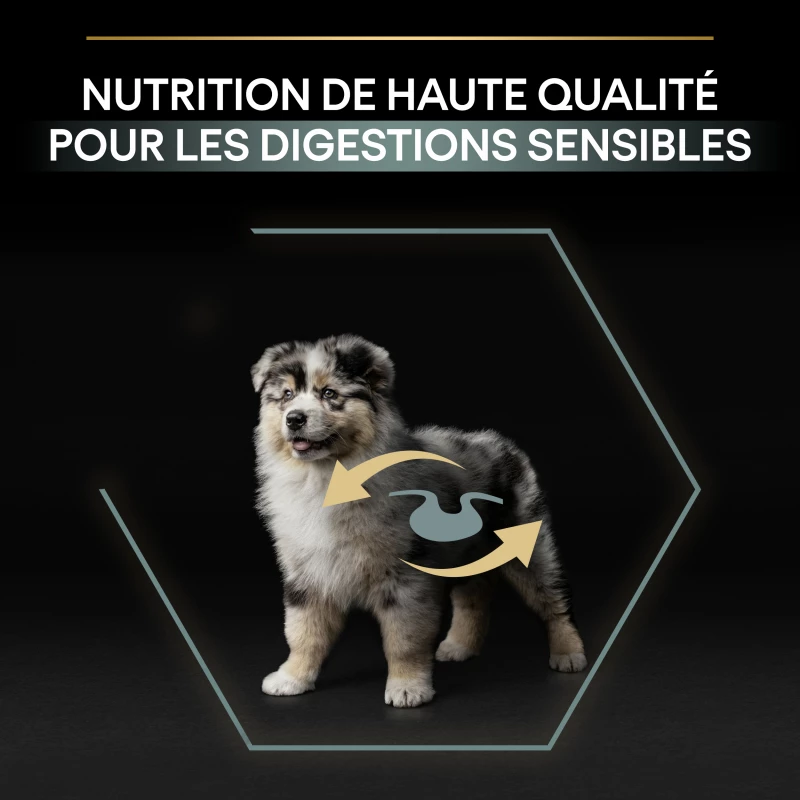 PRO PLAN Medium & Large Adult OptiDigest Puppy, Met Kalkoen 7 PRO PLAN Medium & Large Adult OptiDigest Puppy, Met Kalkoen - Afbeelding 7