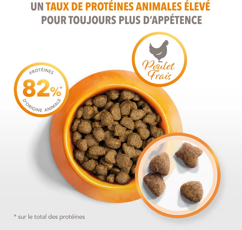 Iams Vitality Dog Small & Medium 2 Iams Vitality Dog Small & Medium - Afbeelding 2