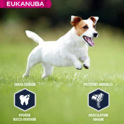 Eukanuba Breed Specific Jack Russell Terrier -EUKANUBA Winkel lm 312950a4152c2b4aa3ad78bdd6b366cc1791641826262