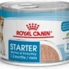 Natvoer Royal Canin Starter Mousse Mother And Baby Dog