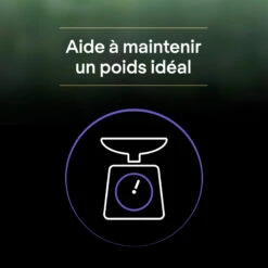 PRO PLAN Liveclear Kitten, Kalkoen -EUKANUBA Winkel lm 315ad13a2a07ca4b7642959dc0c4c740ab61666337558