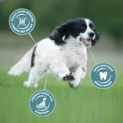 Eukanuba Active Adult Medium Breed -EUKANUBA Winkel lm 321caf1a3dfb505ffed0d024130f58c5cfa1641821795