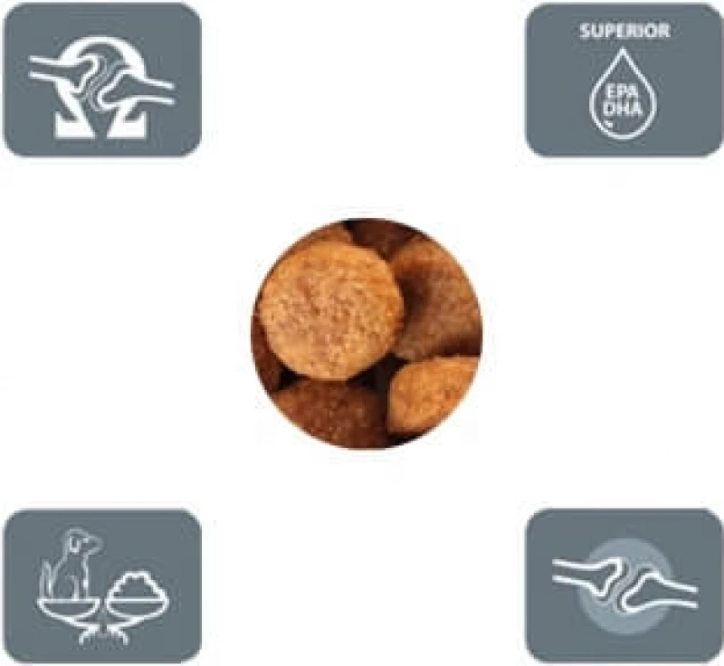 SPECIFIC CJD Joint Support 2 SPECIFIC CJD Joint Support - Afbeelding 2