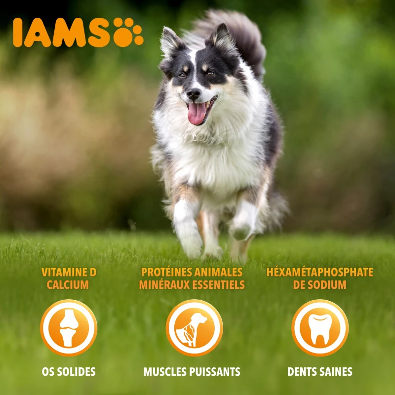 Iams Vitality Dog Small & Medium 4 Iams Vitality Dog Small & Medium - Afbeelding 4