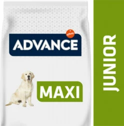 Advance Maxi Junior - Met Kip