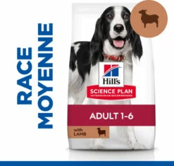 HILL'S Science Plan Plan Canine Adult Medium 10 HILL'S Science Plan Plan Canine Adult Medium -EUKANUBA Winkel lm 351efe937780e95574250dabe07151bdc231643272960