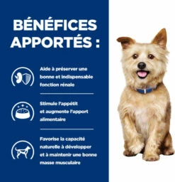 Hill's Prescription Diet K/d Kidney Care -EUKANUBA Winkel lm 3619ca14e7ea6328a42e0eb13d585e4c221646321809