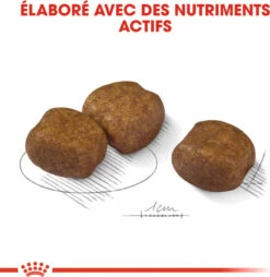 Royal Canin Maxi Dental Care -EUKANUBA Winkel lm 3690c74b7f78409a4022a2c4c5a5ca3ee191639063321