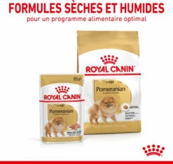 Royal Canin Breed Natvoer Voor Volwassen Dwergkees -EUKANUBA Winkel lm 375f61d6947467ccd3aa5af24db320235dd1639563980