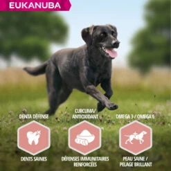 Eukanuba Senior Large, Lamb & Rice -EUKANUBA Winkel lm 377d34ab169b70c9dcd35e62896010cd9ff1608307280